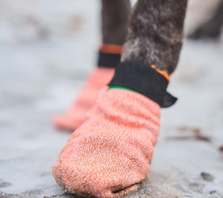 Non-Stop Protector Light Socks potesokk, Orange, 4Pk