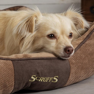 Scruffs Chester Box Bed (S), 50 x 40cm, Chocolate