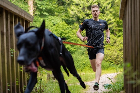 Non-Stop Bungee Leash, Black/Orange, 2.8M/23Mm