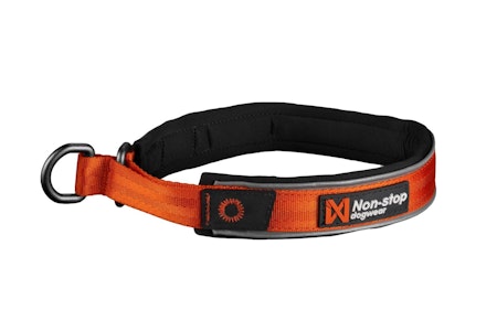 Non-Stop Cruise Collar, Orange, 2XL