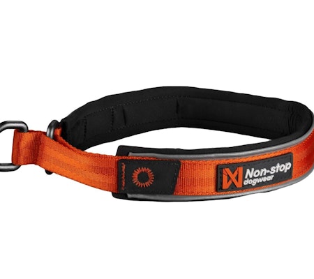 Non-Stop Cruise Collar, Orange, S