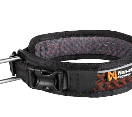 Non-Stop Rock Adjustable Collar, Black/Orange, XL