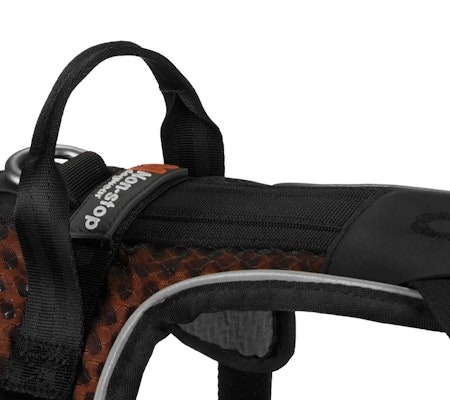 Non-Stop Rock Harness, Black/Orange, S