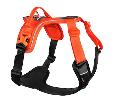 Non-Stop Ramble Harness, Black/Orange, XL