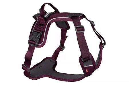 Non-Stop Ramble Harness, Purple, L