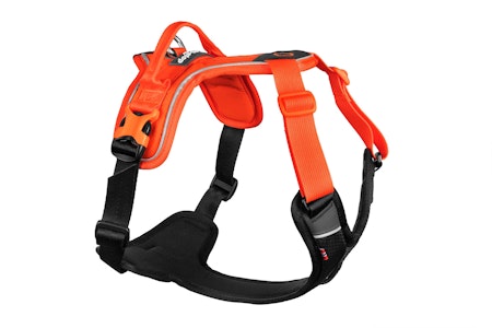 Non-Stop Ramble Harness, Black/Orange, S