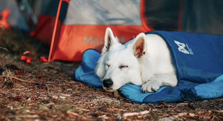 Non-Stop Ly Sleeping Bag, Blue, L