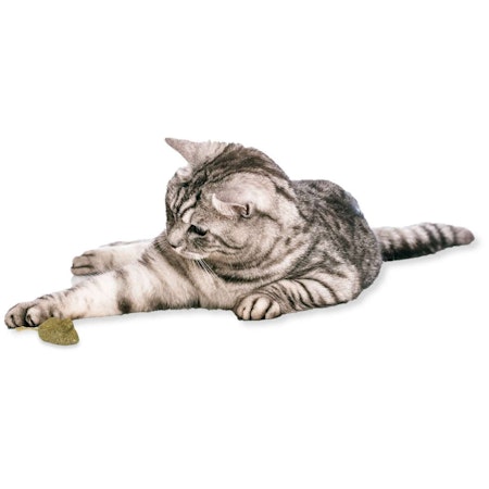 JR-Farm Cat Bavarian Catnip-Mouse