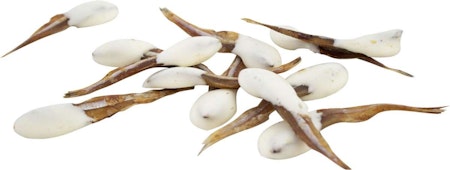 Jr Farm Cat Milky-Dips Fish 30Gr