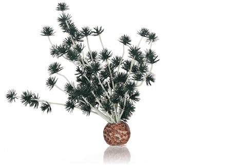 biOrb Bonsai ball black