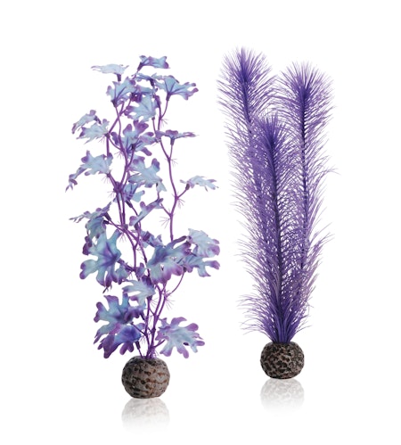 biOrb Kelp set M purple