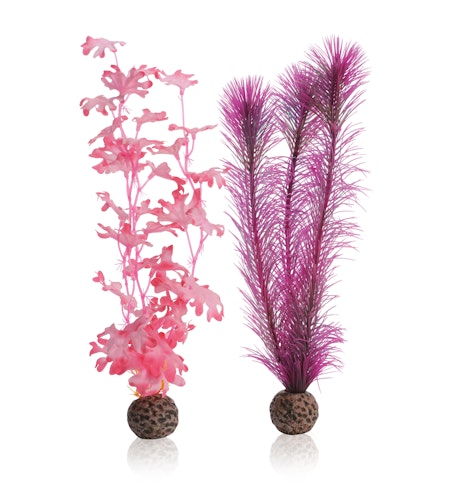 biOrb Kelp set M pink