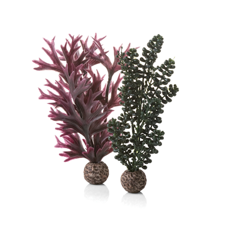 biOrb seapearls & kelp dark green