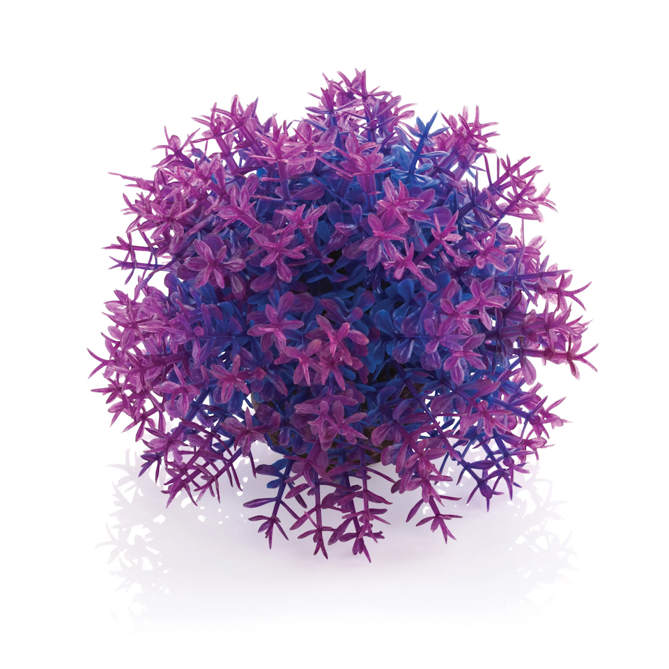 biOrb Flower ball purple