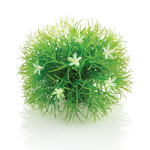 biOrb Topiary ball with daisies