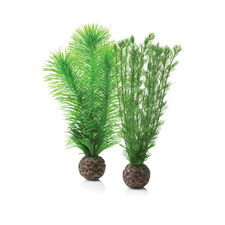 biOrb Feather fern set S green