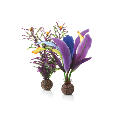 biOrb parrots feather S