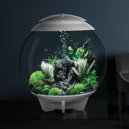 biOrb Aquatic topiary ball set 3 green