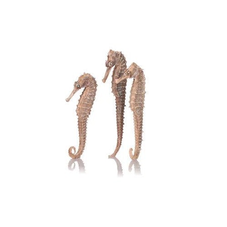biOrb seahorse 3 pack natural
