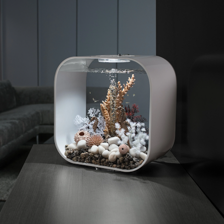 biOrb seahorse 3 pack natural
