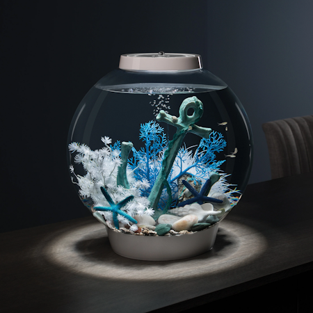 biOrb Sea fan S blue