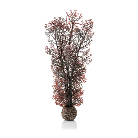 biOrb Sea fan M crimson