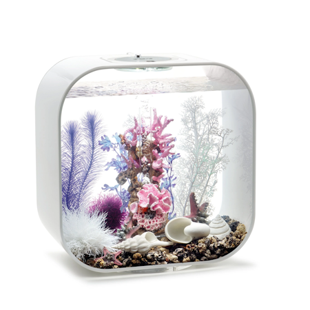 biOrb Decor Set 30L Pink Ocean