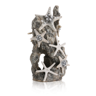 biOrb Sea star rock ornament
