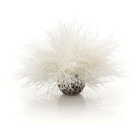 biOrb Aquatic sea lily white