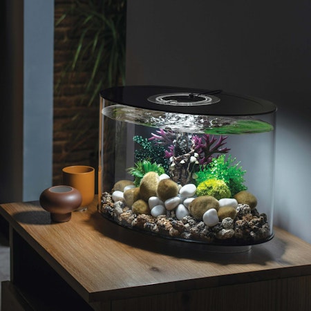 biOrb coral ball set green