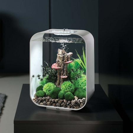 biOrb Mushroom trunk ornament