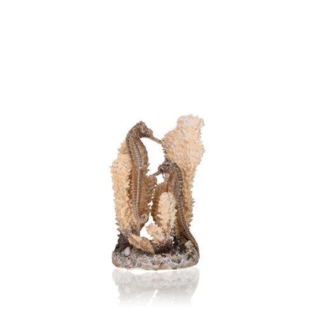 biOrb seahorses on coral natural S