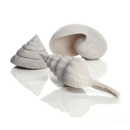 biOrb Sea shell set 3 white
