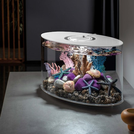 biOrb coral fans & shells set