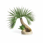 biOrb palm tree Seychelles S