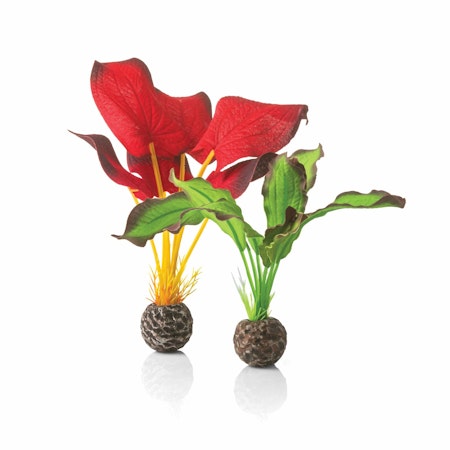 biOrb Silk plant set S green & red