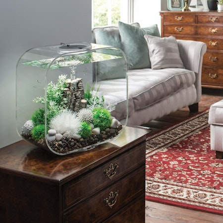 biOrb Aquatic winter flower set 2