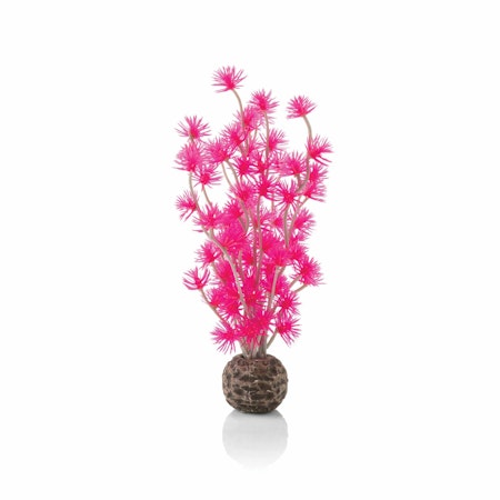 biOrb Bonsai ball pink