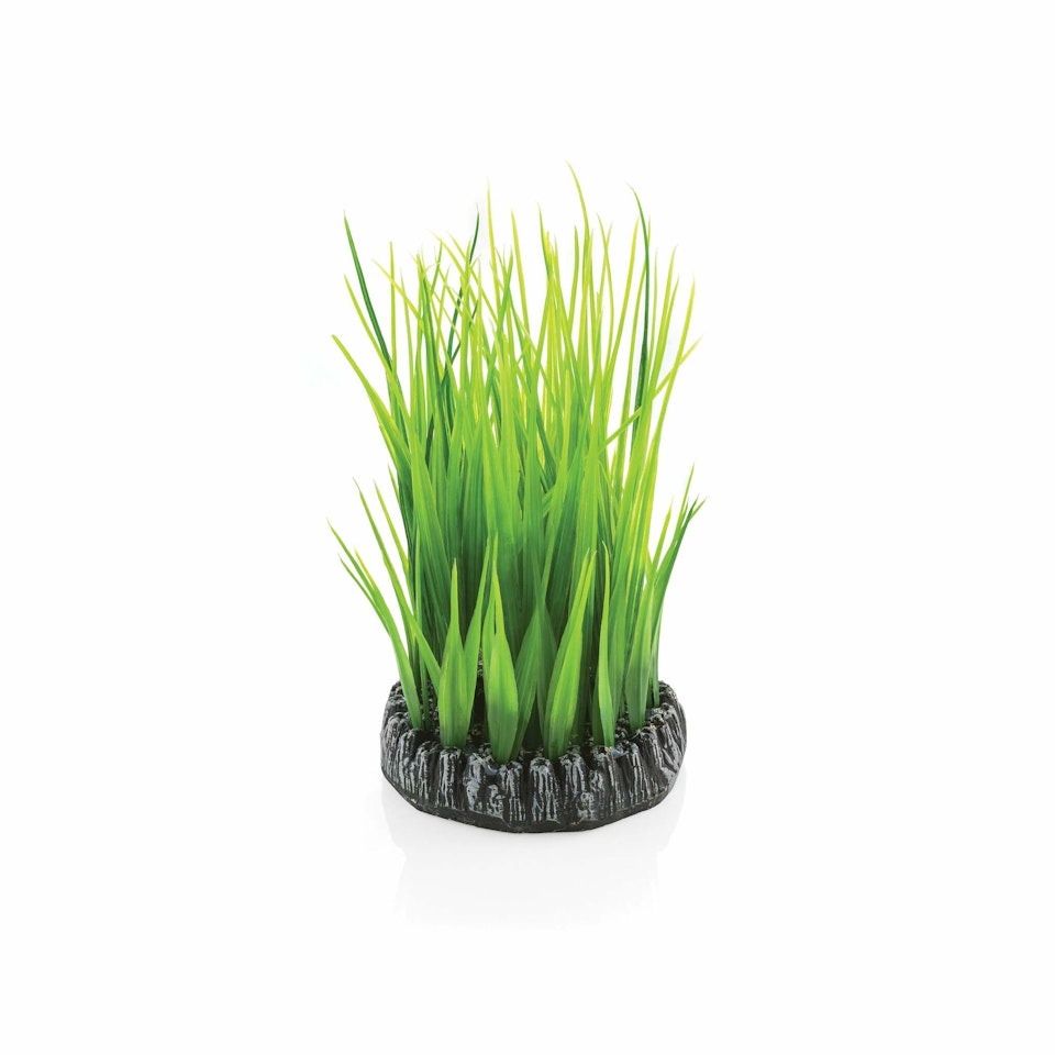 biOrb Grass ring S green
