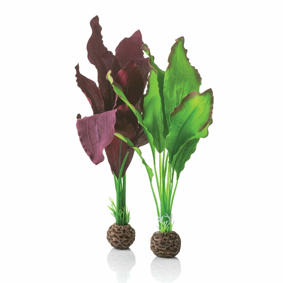 biOrb Silk plant set M green & purple