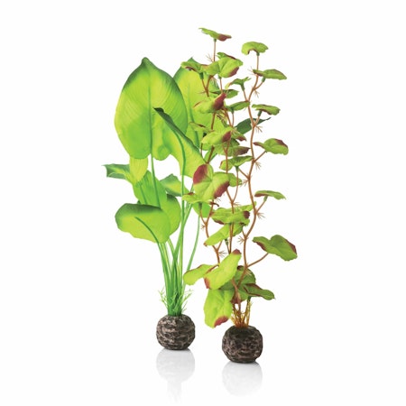 biOrb Silk plant set M green