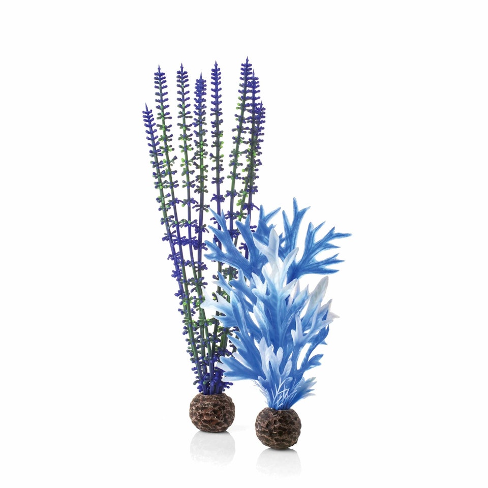 biOrb Plant set M blue & purple