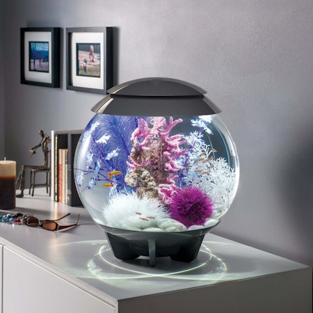 biOrb Reef ornament pink