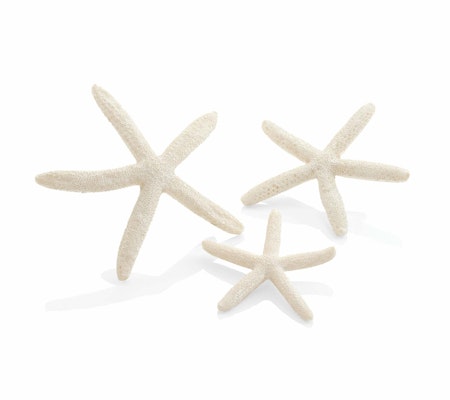 biOrb Starfish set 3 white