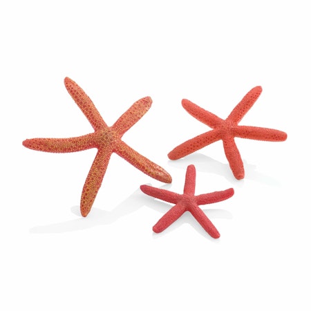biOrb starfish Set 3 red