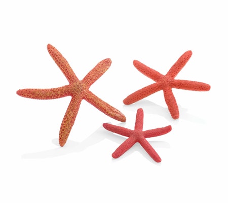biOrb starfish Set 3 red