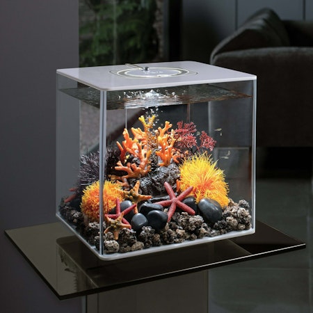 biOrb starfish Set 3 red