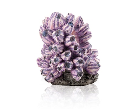 biOrb barnacle cluster ornament