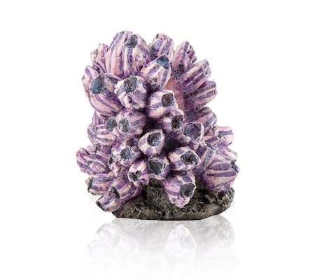 biOrb barnacle cluster ornament