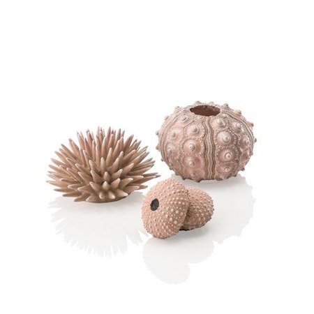 biOrb sea urchins set black